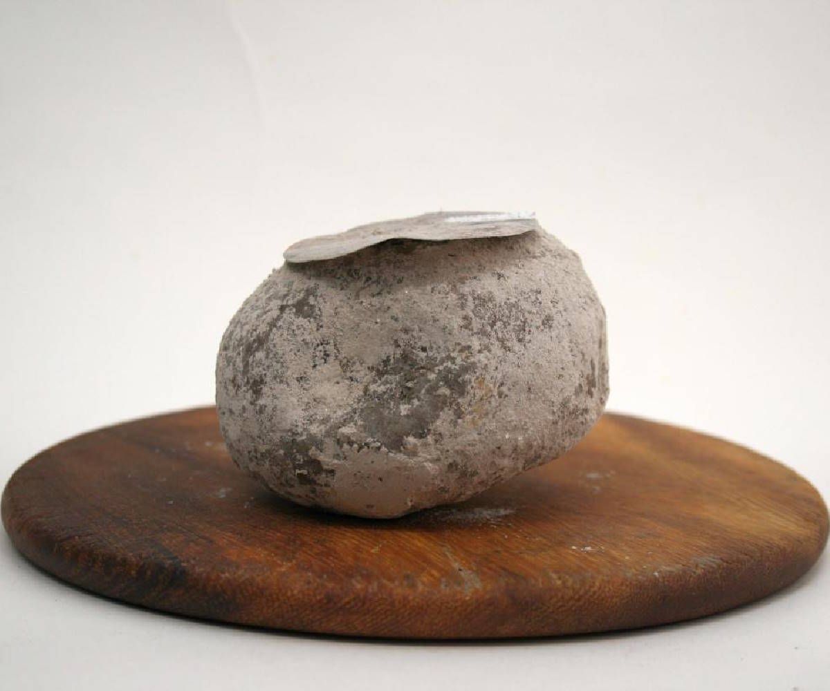 Pecorino di Pienza Stagionato Sotto Cenere